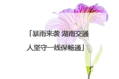 暴雨来袭 湖南交通人坚守一线保畅通