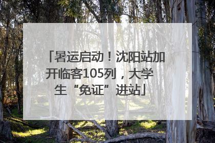 暑运启动！沈阳站加开临客105列，大学生“免证”进站