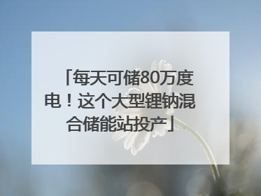 每天可储80万度电！这个大型锂钠混合储能站投产