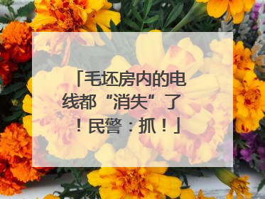 毛坯房内的电线都“消失”了！民警：抓！