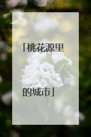 桃花源里的城市