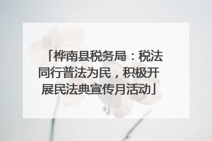 桦南县税务局：税法同行普法为民，积极开展民法典宣传月活动