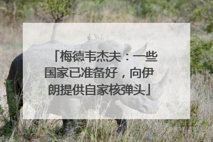 梅德韦杰夫：一些国家已准备好，向伊朗提供自家核弹头