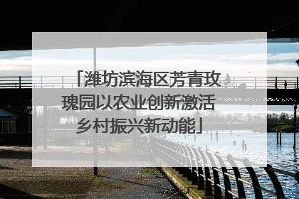 潍坊滨海区芳青玫瑰园以农业创新激活乡村振兴新动能