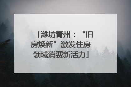 潍坊青州：“旧房焕新”激发住房领域消费新活力