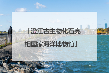 澄江古生物化石亮相国家海洋博物馆