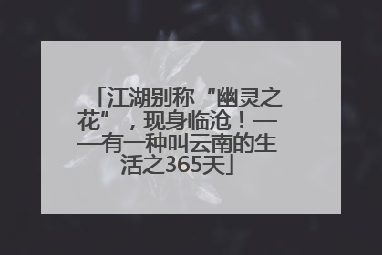 江湖别称“幽灵之花”，现身临沧！——有一种叫云南的生活之365天