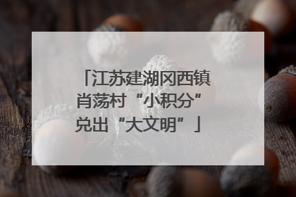 江苏建湖冈西镇肖荡村“小积分”兑出“大文明”