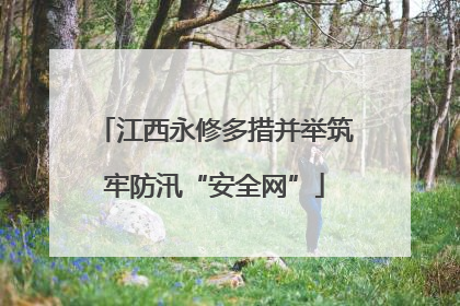 江西永修多措并举筑牢防汛“安全网”