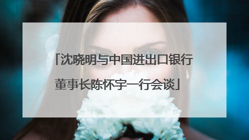 沈晓明与中国进出口银行董事长陈怀宇一行会谈