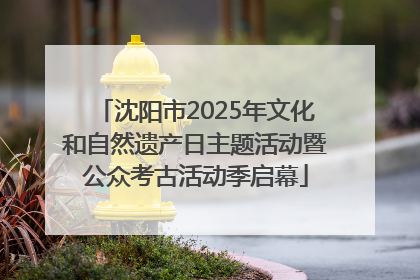 沈阳市2025年文化和自然遗产日主题活动暨公众考古活动季启幕
