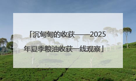 沉甸甸的收获——2025年夏季粮油收获一线观察