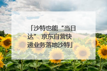 沙特也能“当日达” 京东自营快递业务落地沙特