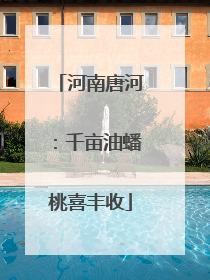 河南唐河：千亩油蟠桃喜丰收