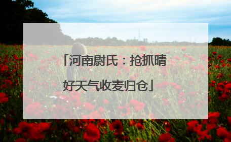 河南尉氏：抢抓晴好天气收麦归仓