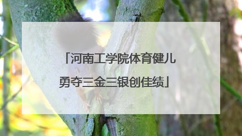 河南工学院体育健儿勇夺三金三银创佳绩