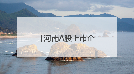 河南A股上市企业达111家 制造业占比超七成