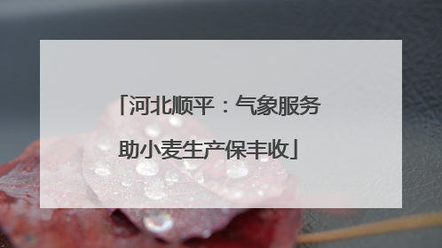 河北顺平：气象服务助小麦生产保丰收