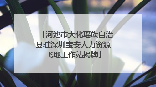 河池市大化瑶族自治县驻深圳宝安人力资源飞地工作站揭牌