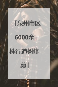 泉州市区6000余株行道树修剪