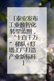 泰安发布工业数智化转型蓝图，“十百千万”梯队+灯塔工厂打造产业新标杆