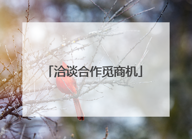 洽谈合作觅商机