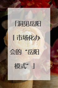 洞见岳阳丨市场化办会的“岳阳模式”
