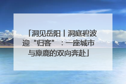 洞见岳阳丨洞庭碧波迎“归客”：一座城市与麋鹿的双向奔赴