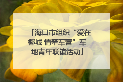 海口市组织“爱在椰城 情牵军营”军地青年联谊活动