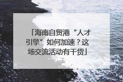 海南自贸港“人才引擎”如何加速？这场交流活动有干货