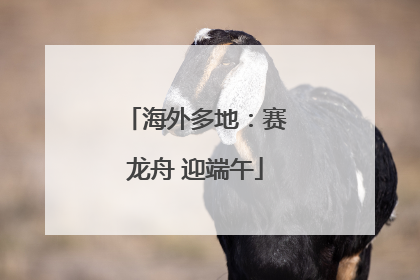 海外多地：赛龙舟 迎端午