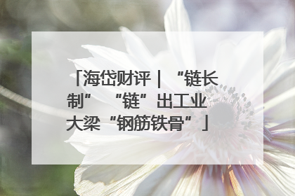 海岱财评｜“链长制” “链”出工业大梁“钢筋铁骨”