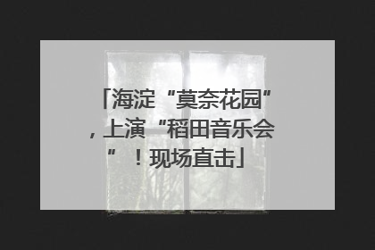 海淀“莫奈花园”，上演“稻田音乐会”！现场直击