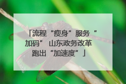 流程“瘦身”服务“加码” 山东政务改革跑出“加速度”