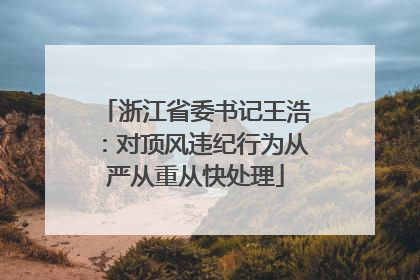 浙江省委书记王浩：对顶风违纪行为从严从重从快处理