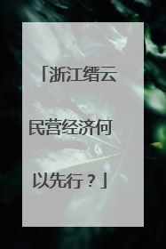 浙江缙云民营经济何以先行?