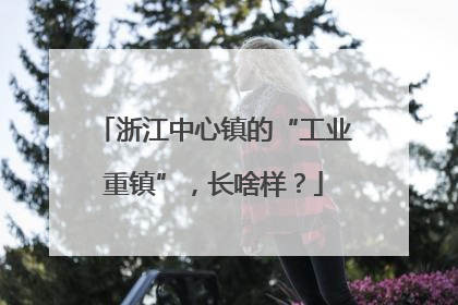 浙江中心镇的“工业重镇”，长啥样？