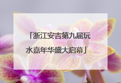 浙江安吉第九届玩水嘉年华盛大启幕