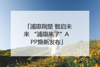 浦惠荆楚 智启未来 “浦惠来了”APP焕新发布