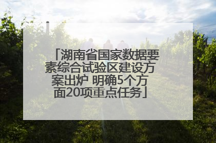 湖南省国家数据要素综合试验区建设方案出炉 明确5个方面20项重点任务