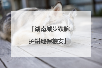 湖南城步铁腕护耕地保粮安
