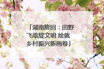 湖南隆回：田野飞歌绽文明 绘就乡村振兴新画卷