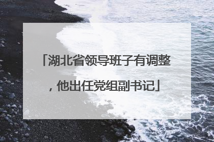 湖北省领导班子有调整，他出任党组副书记