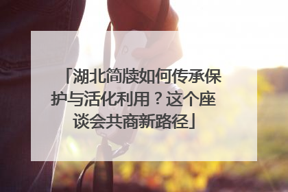 湖北简牍如何传承保护与活化利用？这个座谈会共商新路径