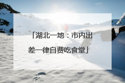 湖北一地：市内出差一律自费吃食堂