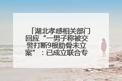 湖北孝感相关部门回应“一男子称被交警打断9根肋骨未立案”：已成立联合专班开展工作