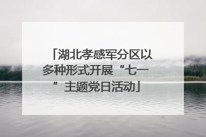 湖北孝感军分区以多种形式开展“七一”主题党日活动
