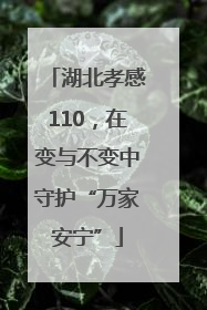 湖北孝感110，在变与不变中守护“万家安宁”