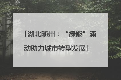 湖北随州：“绿能”涌动助力城市转型发展