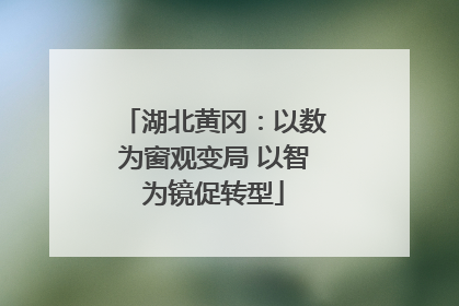 湖北黄冈：以数为窗观变局 以智为镜促转型